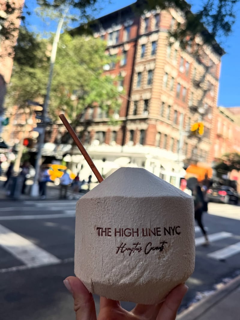 Hamptons Coconuts activation at The High Line, New York City